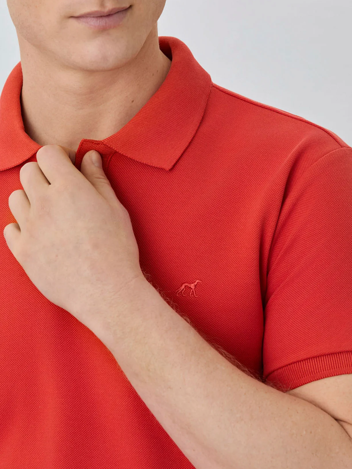 Polo Piqué Slim Fit Com Logo Bordado Em Algodão Bci - Image 38
