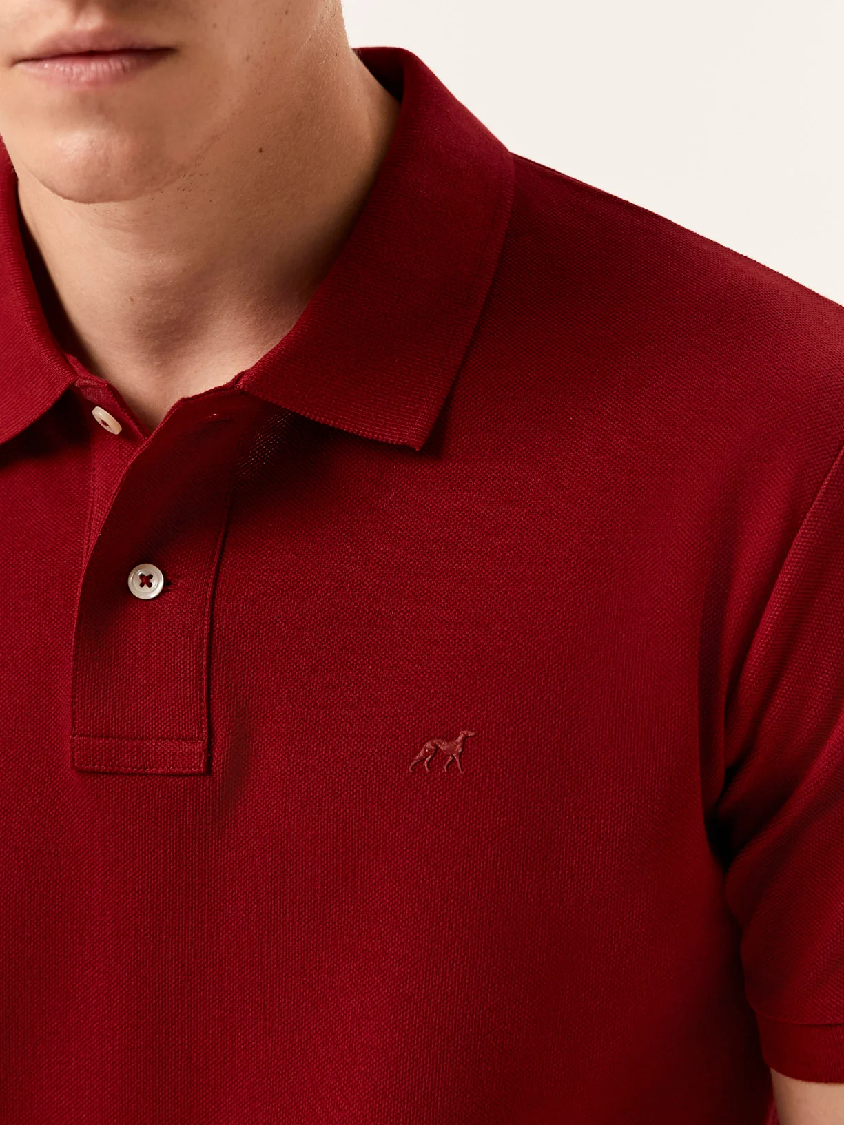 Premium Regular Fit Polo Piqué em 100% Algodão BCI