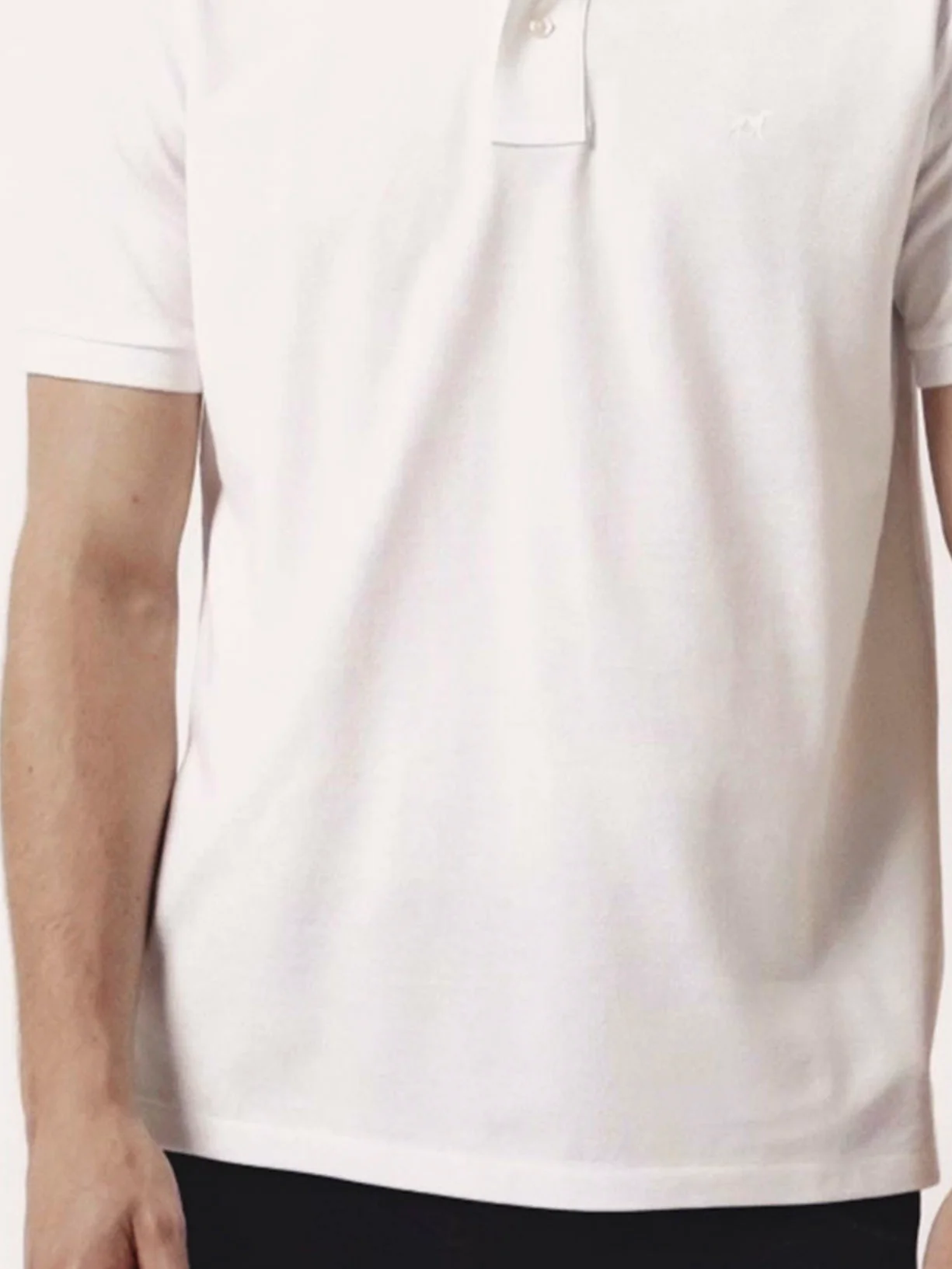 Premium Regular Fit Polo Piqué em 100% Algodão BCI - Image 4