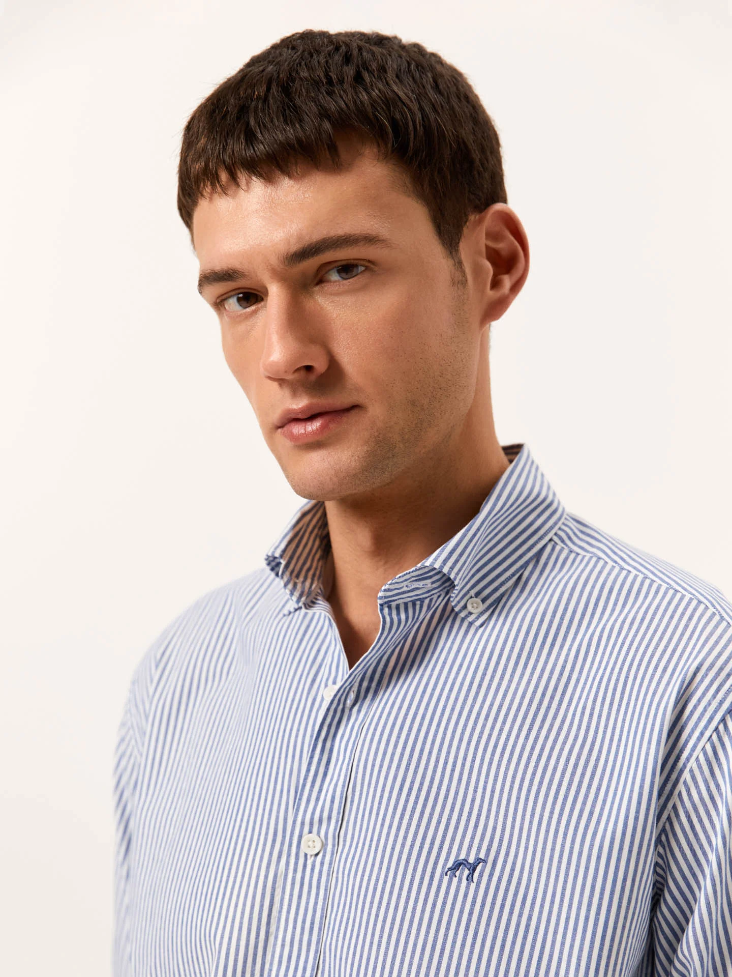 Regular Fit Camisa Oxford às Riscas em 100% Algodão BCI