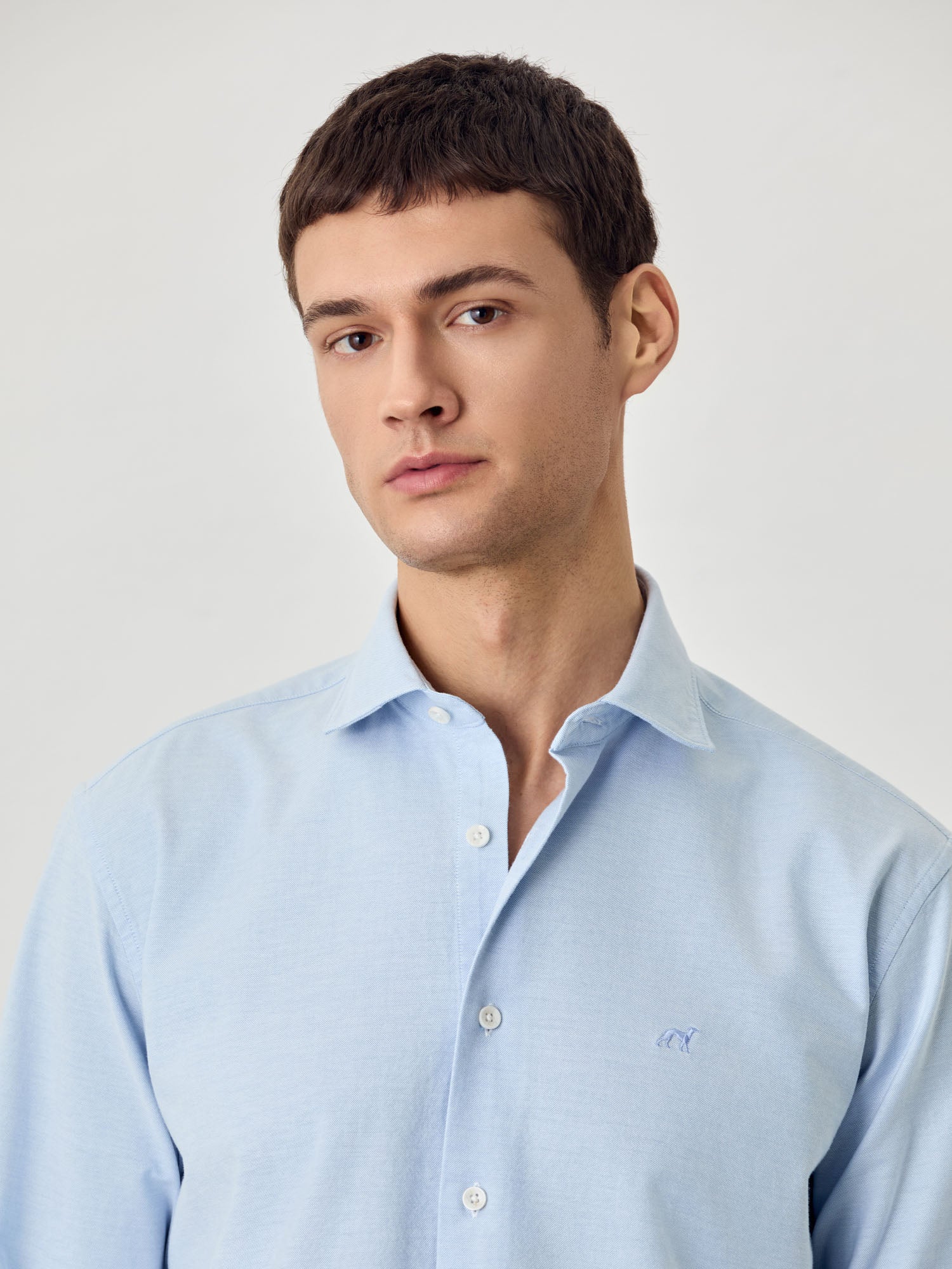 Regular Fit Camisa Oxford em Algodão Comfort - Image 2