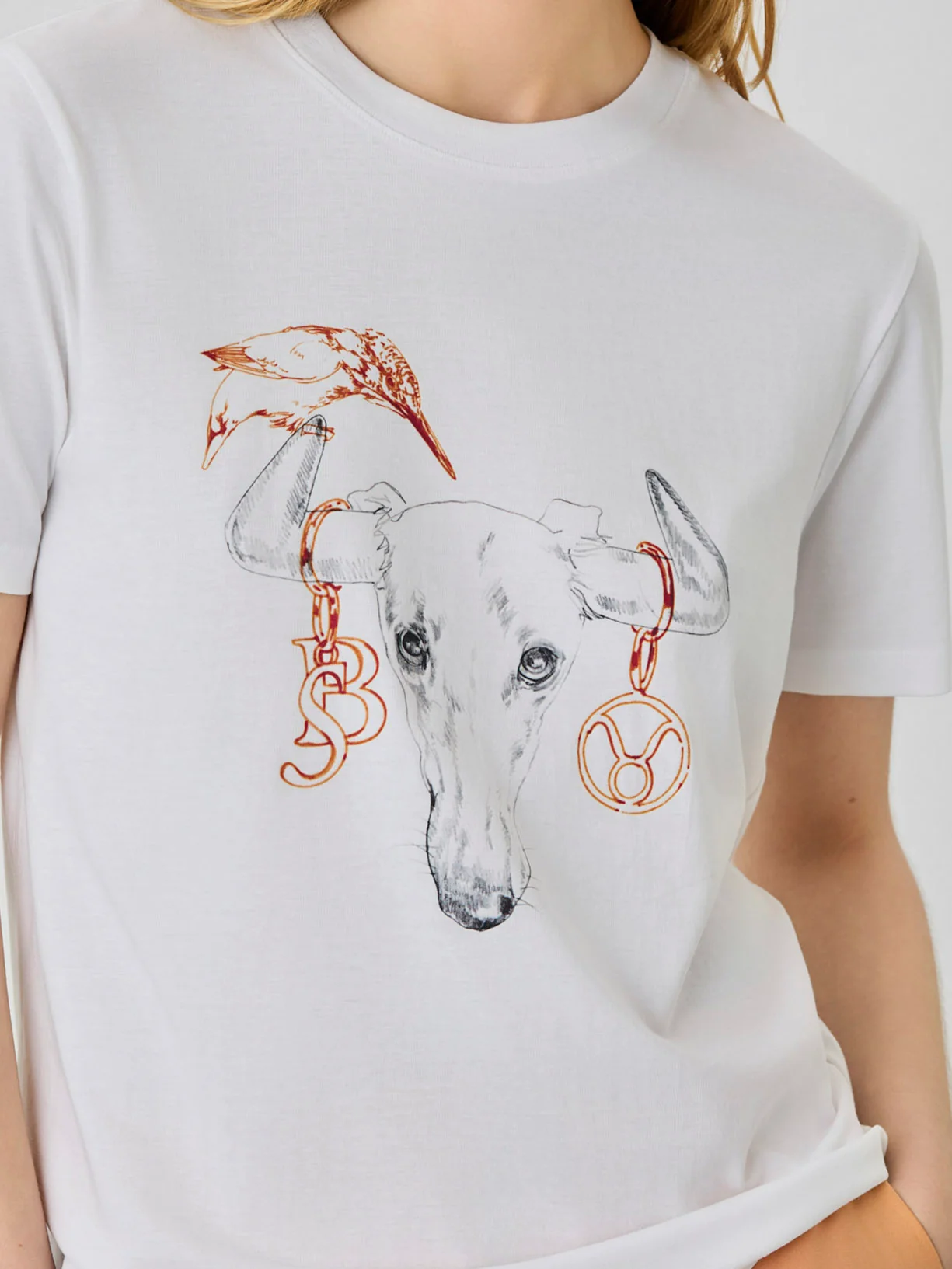 T-Shirt Regular Fit Em Algodão Orgânico Com Signo De Touro - Image 3